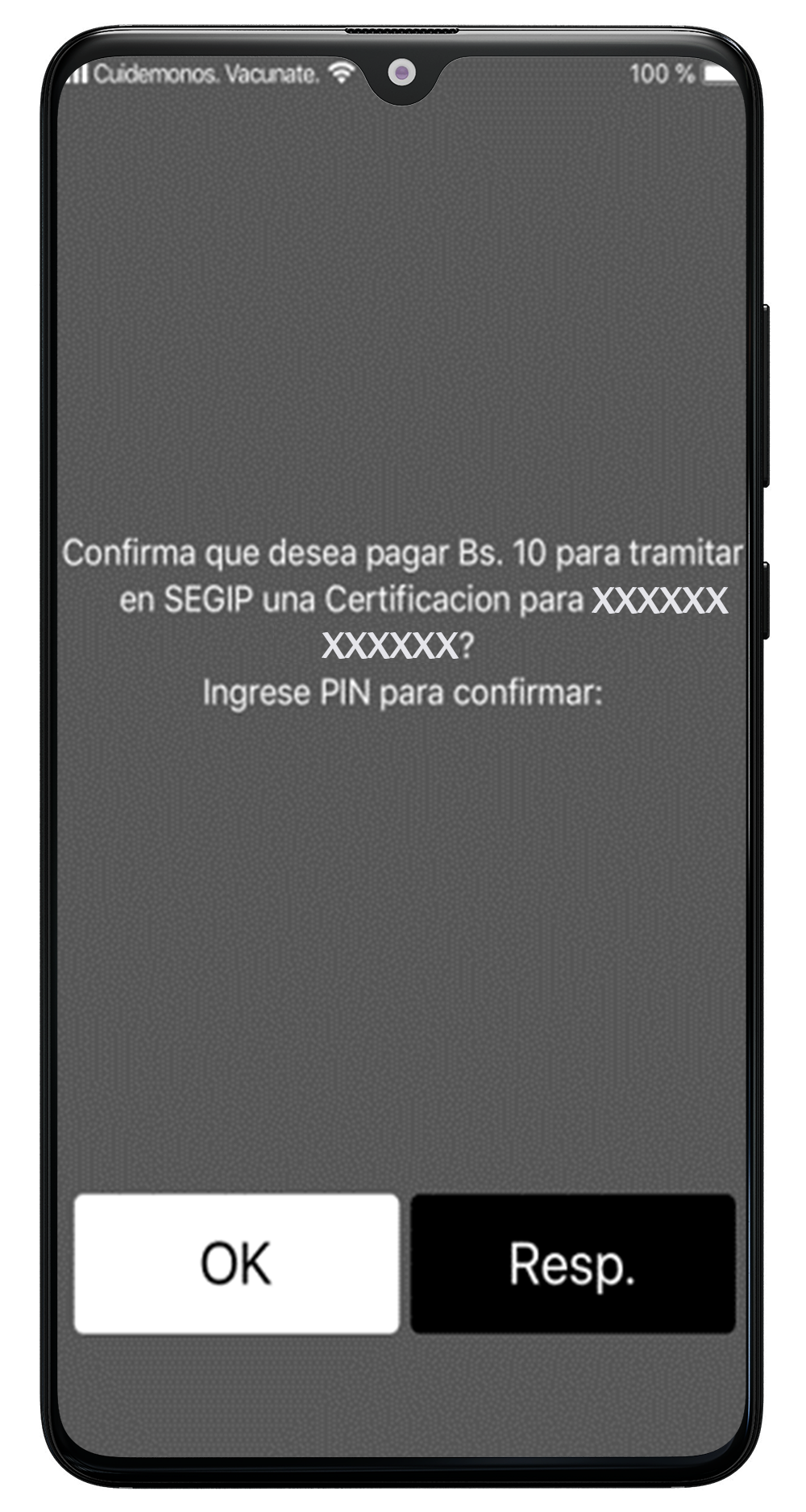 Tramite del Segip 12
