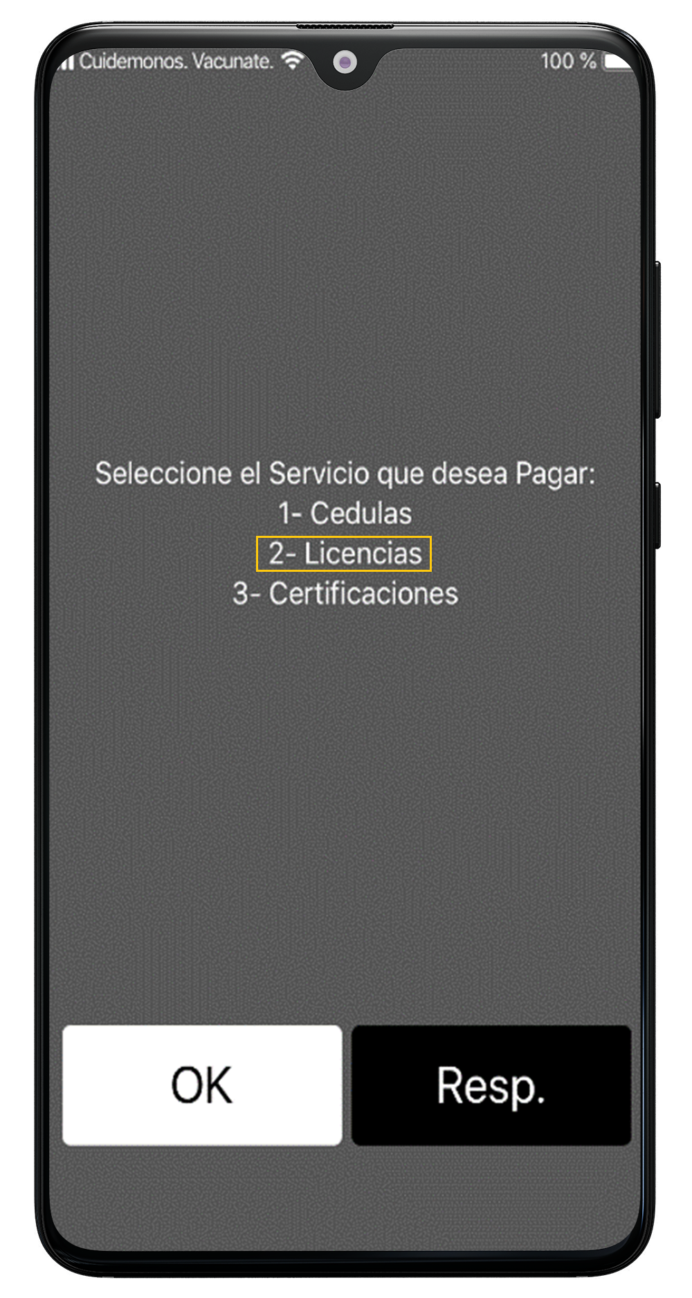 Tramite del Segip 4